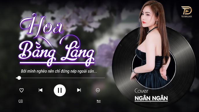 HOA BẰNG LĂNG NHẠC TRẺ HOT TIKTOK 2025 Tâm Trạng Hay Nhất